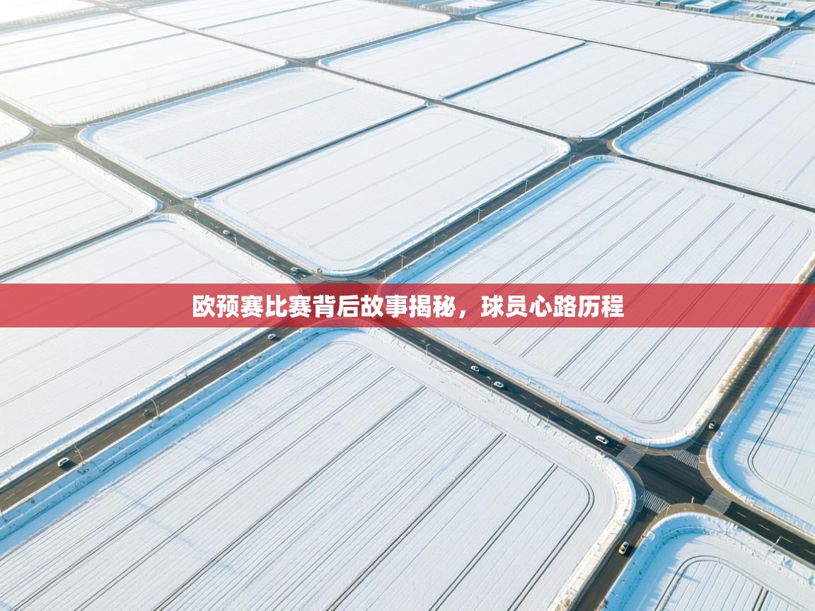 欧预赛比赛背后故事揭秘，球员心路历程