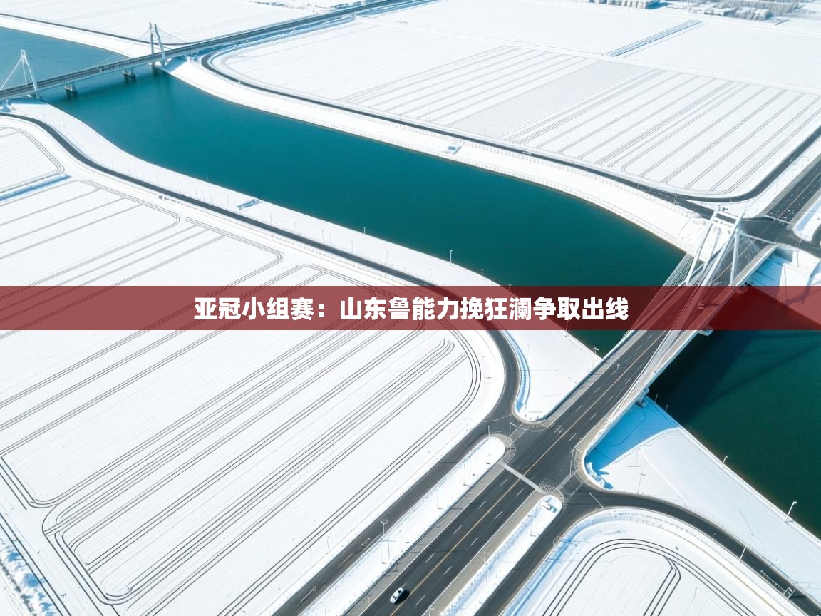 亚冠小组赛：山东鲁能力挽狂澜争取出线  第2张