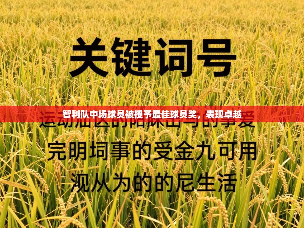 智利队中场球员被授予最佳球员奖，表现卓越  第2张