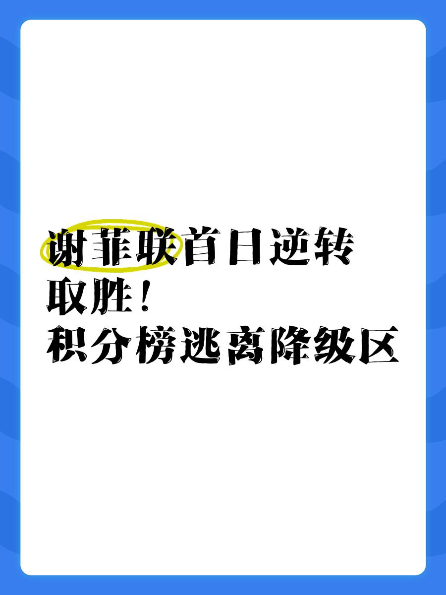 关于谢菲联主场告捷，继续保持势头的信息