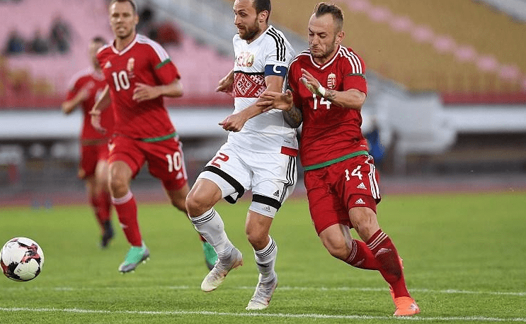 包含匈牙利主场战平波兰，继续保持出线希望的词条